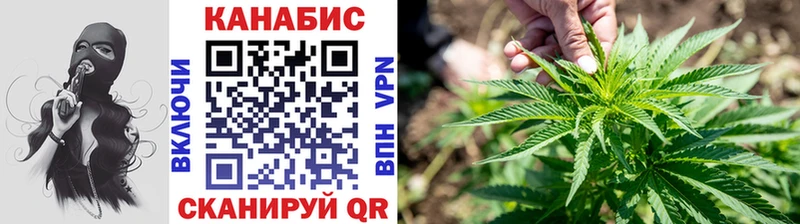 Конопля Ganja Мурино